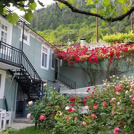 Guest House Green Rose Bordjomi Extérieur photo