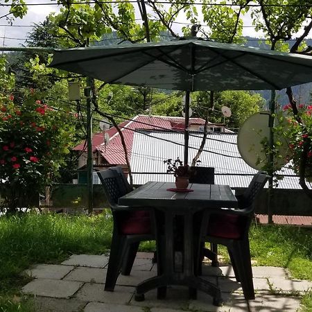 Guest House Green Rose Bordjomi Extérieur photo