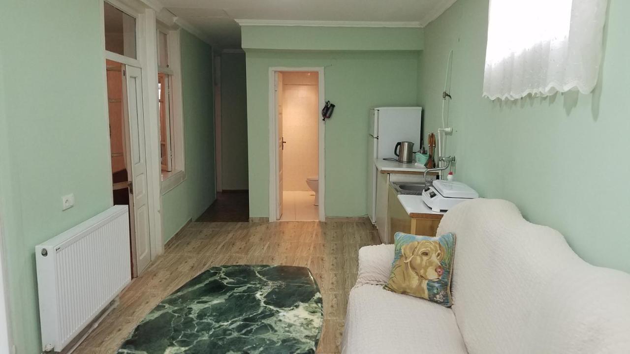 Guest House Green Rose Bordjomi Extérieur photo