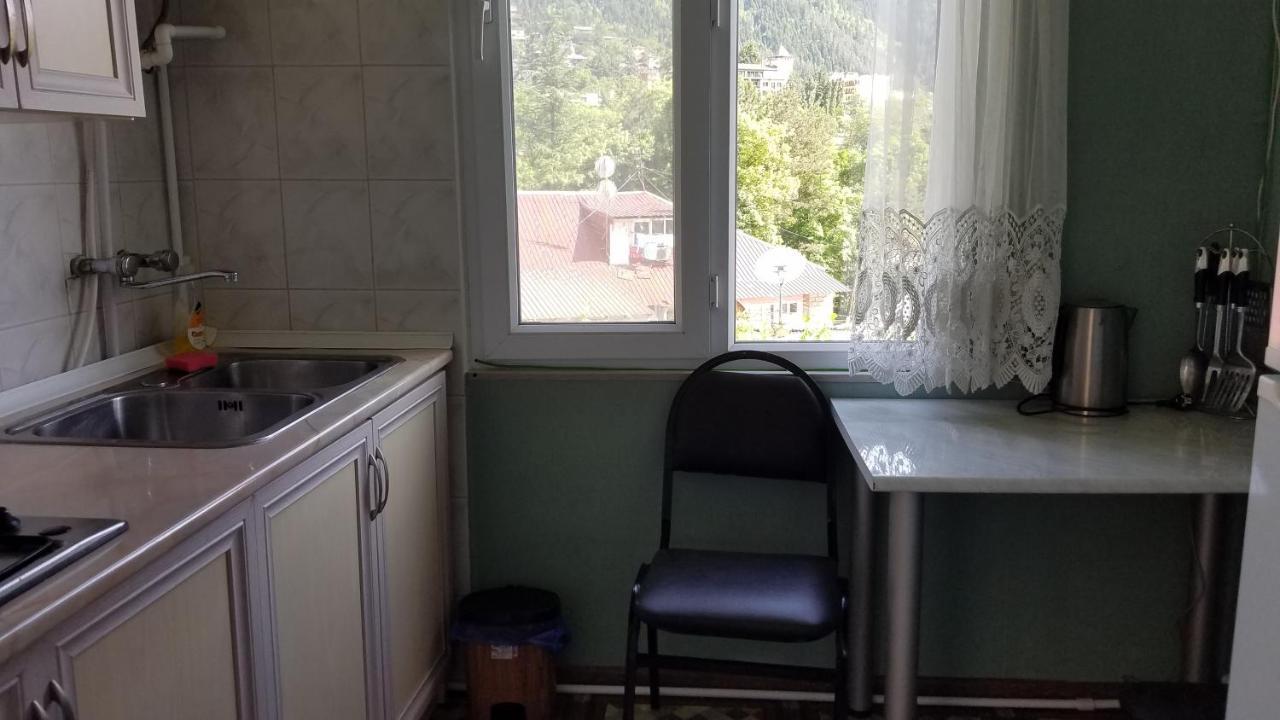 Guest House Green Rose Bordjomi Extérieur photo