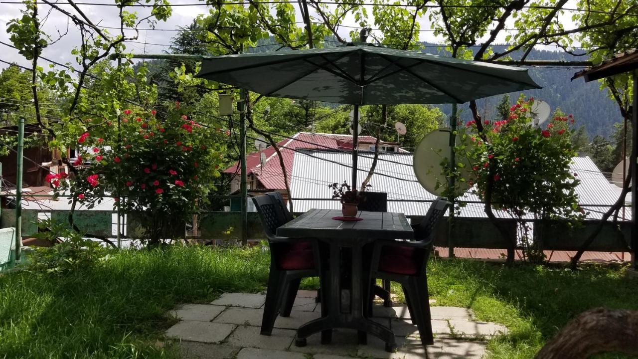 Guest House Green Rose Bordjomi Extérieur photo