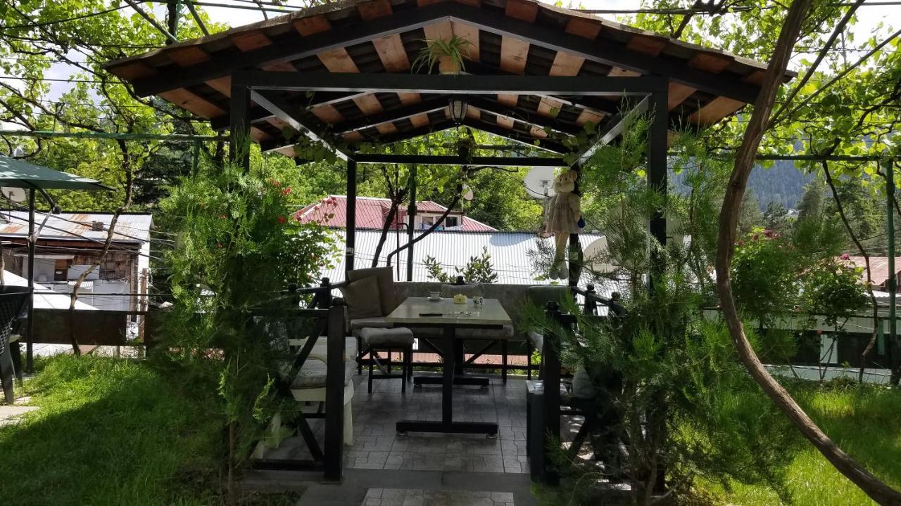 Guest House Green Rose Bordjomi Extérieur photo